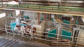 Stalles de robots GEA