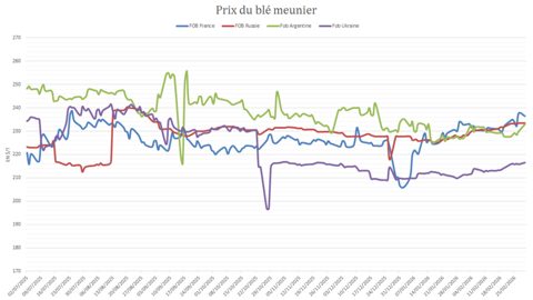 Les prix du blé français restent élevés face aux origines mer Noire.
