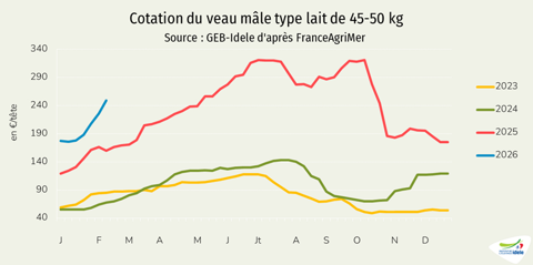 Cotation du veau mâle type lait de 45-50 kg