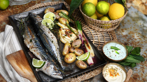 Maquereaux grillés, duo de sauces yaourt et légumes.