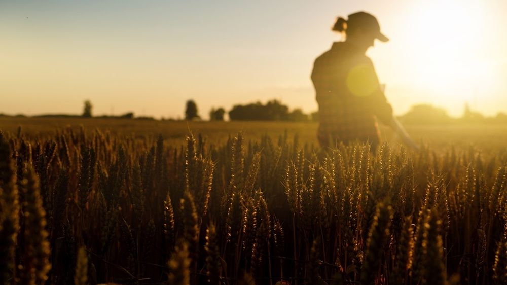 Agricultrice dans un champ