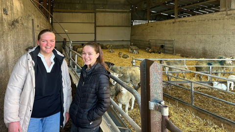 Camille Mugnier (à gauche) et Annaëlle Poulain, étudiantes en BTS Acse, ont réalisé un mois de stage en Irlande.