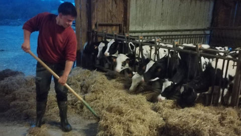 Florent Roullier a réalisé 3 semaines en alternance en Belgique dans une ferme laitière.