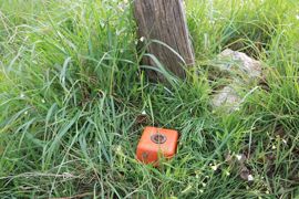 Ce sont les bornes qui matérialisent la limite de propriété.