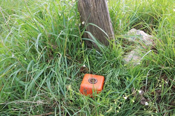 Ce sont les bornes qui matérialisent la limite de propriété.