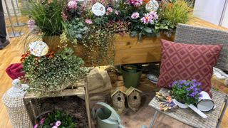 A IPM Essen, de multiples stands proposent des mises en scène pour utiliser le végétal dans tous les aspects de la vie, en intérieur comme dans la cité. Ici le stand de l’obtenteur de fleurs Selecta.