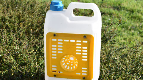 Piège pour capturer les frelons asiatiques.