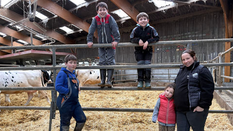 En congé de maternité pour son cinquième enfant, Hélène Moreau, éleveuse laitière, entourée de ses quatre enfants (de gauche à droite) : Evann (13 ans), Elie (11 ans), Brice (7 ans) et Zoé (4 ans).