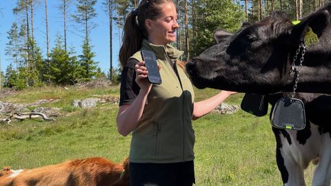 Oda West et ses parents sont équipés de la solution du pionnier de la barrière virtuelle, Nofence.