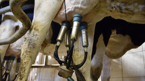 La FNPL appelle l’État à faire évoluer le cadre de la loi Egalim.