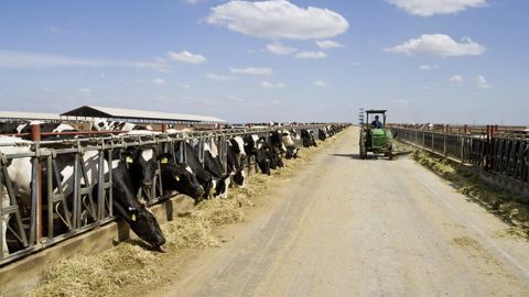 Le Parlement européen devrait voter le 26 mars 2026 sa position sur l'accord commercial avec les Etats-Unis.