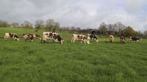 Réduire le temps d'accès des vaches au pâturage pour maximiser l'ingestion par heure de présence et tourner rapidement peut permettre de profiter de la pousse en condition de portance réduite des sols des prairies.