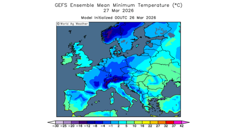La France subit des températures négatives critiques pour les céréales d'hiver.