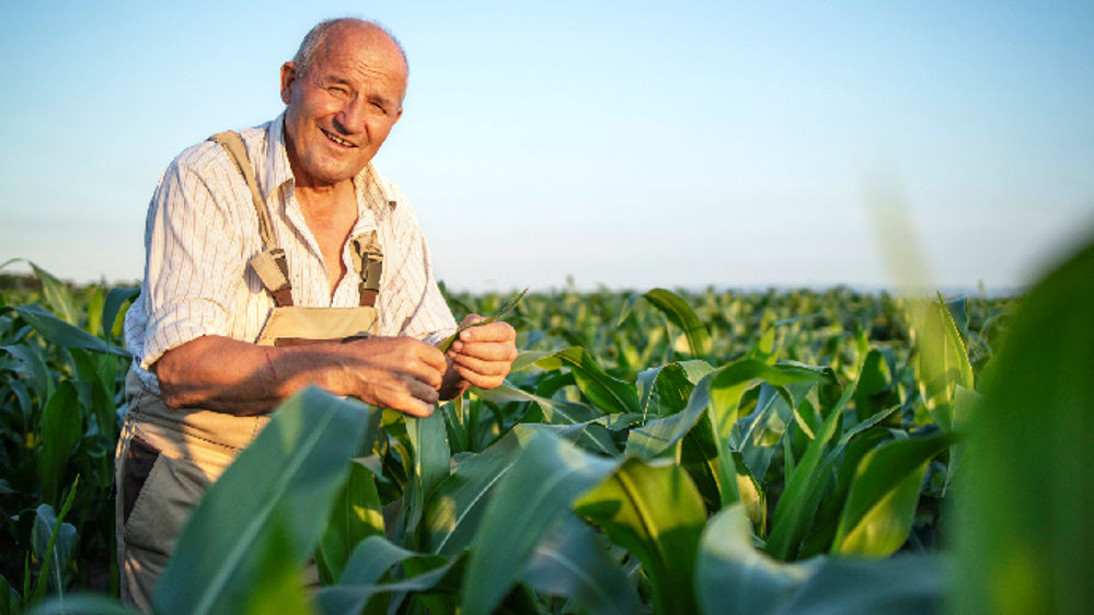 Commander ses intrants agricoles en ligne : Aladin.farm, la plateforme qui s'adapte au rythme des agriculteurs