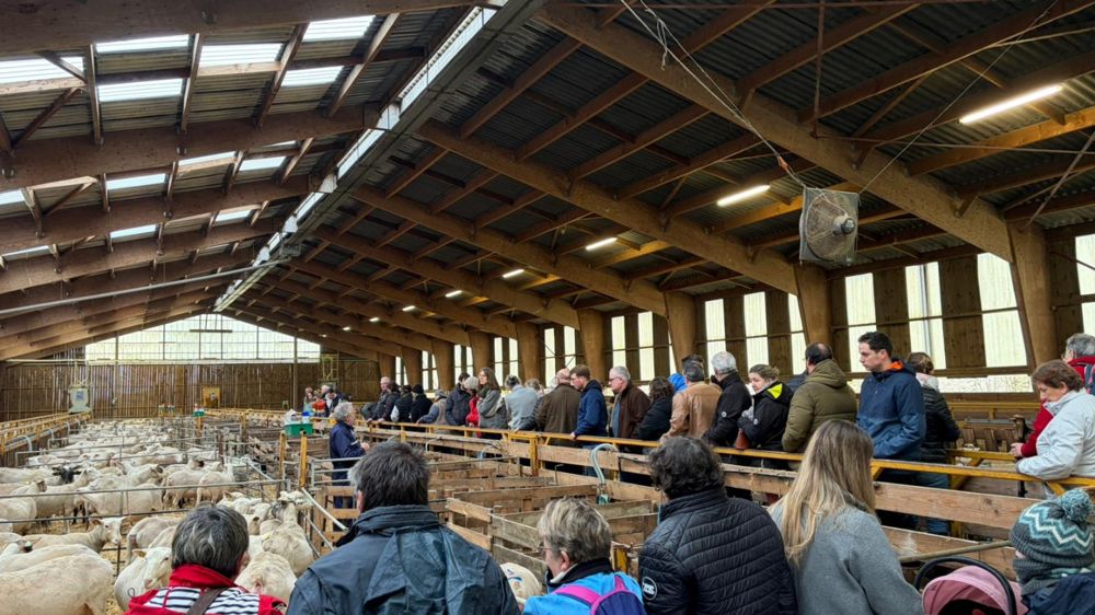 Malade pendant des mois, cet éleveur de l’Aisne avait en fait la fièvre Q !