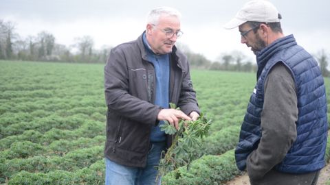 Hervé Graton, technicien Terrena (à droite) qui accompagne Jean-Pierre Granier : « Le lupin est peu gourmand en eau, face aux problématiques de désherbage, et ramène 60 unités d’azote pour la culture suivante ».
