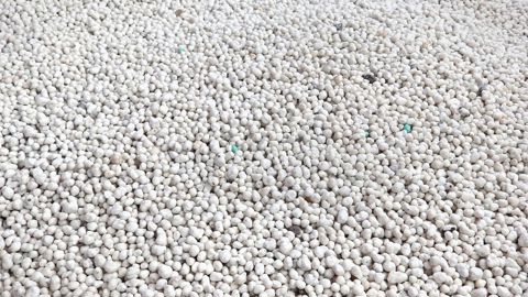 Ajuster la dose d'azote à apporter pour viser l'optimum technico-économique.