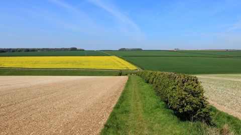 La baisse des gaz à effet de serre liés à l'agriculture se poursuit en 2025.