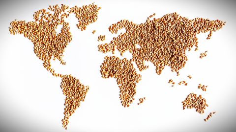 Les six pays constituant le groupe des Cubita représentent aujourd'hui 30 % des exportations agricoles de la planète.