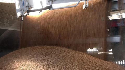 Volatilité des prix : un défi structurel pour les filières agricoles