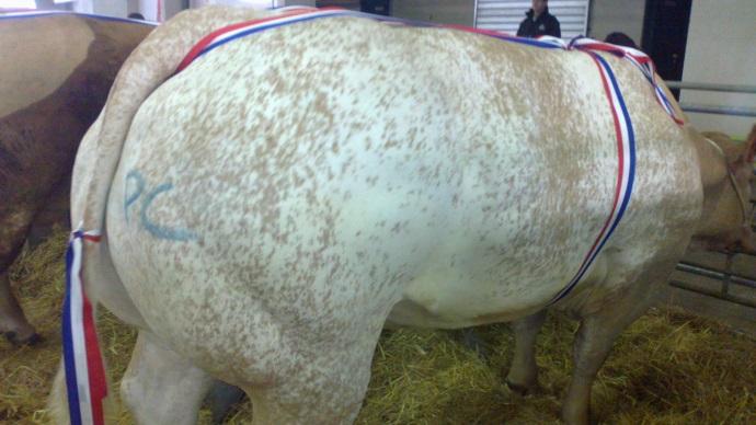Concours Nancy 3 mai 2013