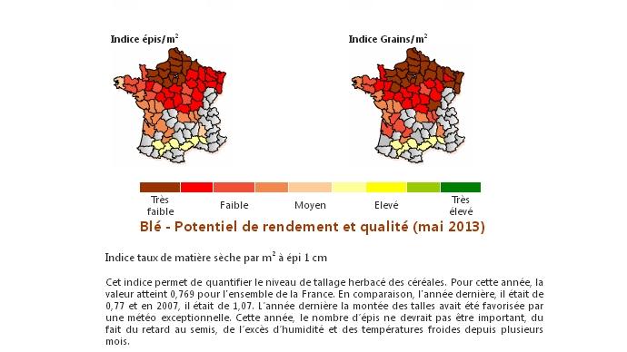 Mise à jour de mai pour les cartes de modélisation de la qualité et du rendement du blé.