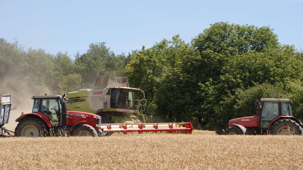 Une moisson 2026 précoce pour 66 % des agriculteurs
