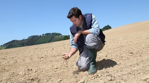 « Les enjeux climatiques, les futurs installés en agriculture les ont bien en tête », constate Marie-Isabelle Le Bars, chargée mission installation/transmission à la chambre d'agriculture de Bretagne.