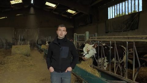 Actualité de l'élevage agricole - Web-agri.fr