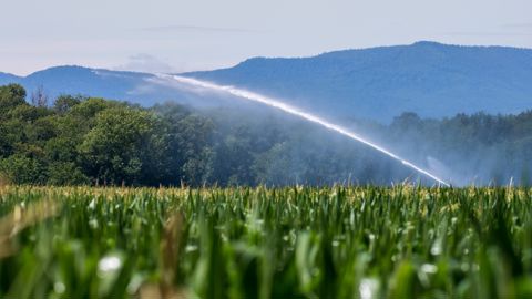 La Coordination rurale a appelé les exploitants à ne pas respecter les interdictions et restrictions d'irrigation prises face à la sécheresse.
