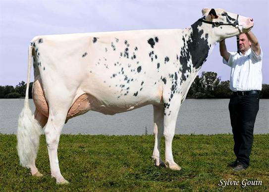 Flo-Edelweis (Shottle) au Gaec Florenties (64), Lafon J.L. (15) et Heras Gomez F. (60)