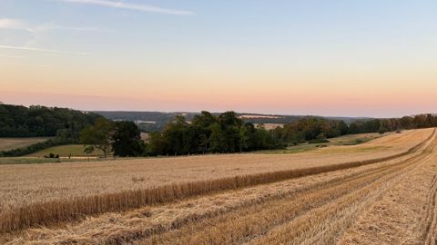 Moisson Live représente la plus grande communauté agricole autour des résultats de récolte.