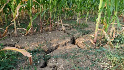 La porte parole du gouvernement indique que certains ministères vont devoir faire des efforts, afin de permettre le financement des aides allouées aux agriculteurs. 