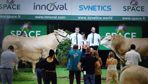 Sagua et Ulysse remportent le 1er prix du concours Blonde d