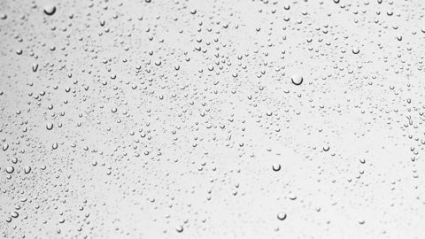 Le retour de pluies régulières rassure en France et en Allemagne.