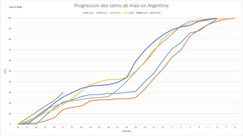 Les plantations de maïs ont rapidement démarré en Argentine.