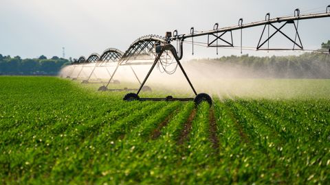 40 % de l'irrigation en France était consacré au maïs il y a vingt ans, aujourd'hui c'est 30 %.
