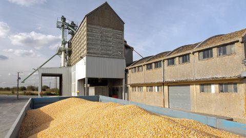 Outre la production européenne catastrophique, les tensions en mer Noire et les échanges intra-européens au plus bas depuis la campagne 2015-16 forment également des fondamentaux assez haussiers pour les cours du maïs européen.