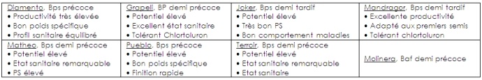 Les nouvelles variétés préférées de Semences de France pour 2013.