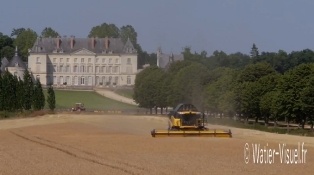 Moisson dans le Maine-et-Loire.
