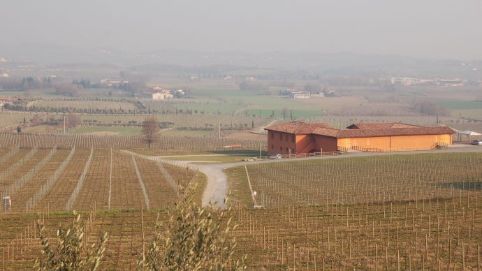 Vignoble 