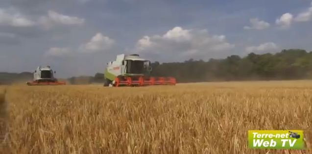 Moisson dane le Maine et Loire