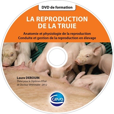 Dvd reproduction porcine de Ceva santé animale