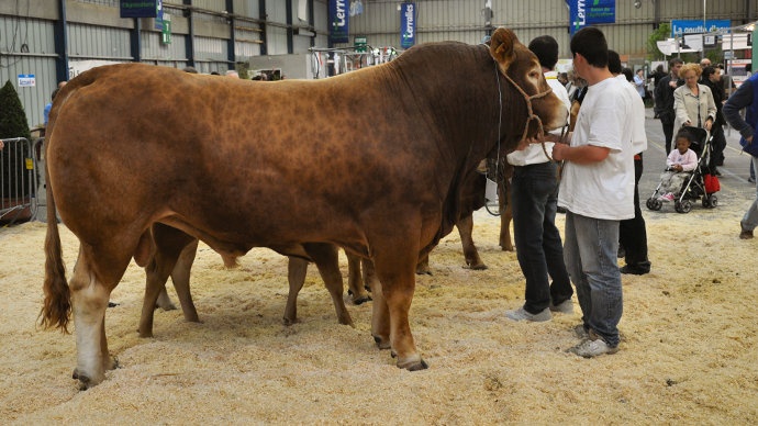 Concours national Limousin Concours national Limousin