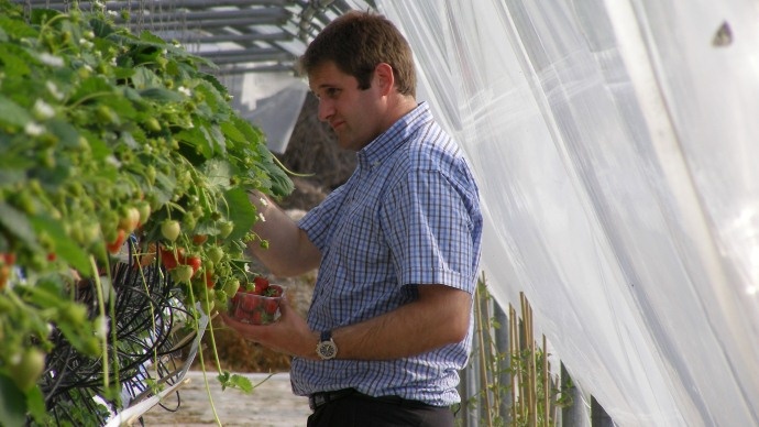 Peu de salariés agricoles bénéficieront de la reconnaissance de la pénibilité de leur travail.