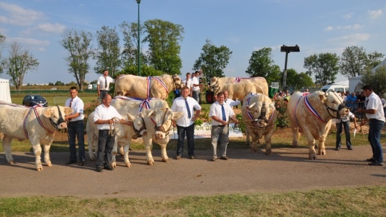Concours national Charolais 2013