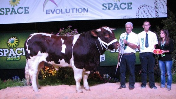 Glaneur, champion rouge des prés space 2013