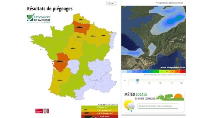 Observatoire limaces De Sangosse