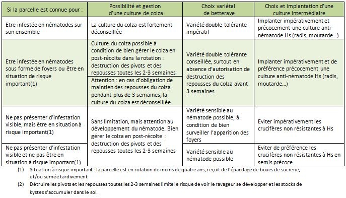 S’agissant d’autres espèces de nématodes, en cas de présence identifiée de Ditylenchus dipsaci pour lequel la betterave et le colza sont tous des plantes hôtes, il est recommandé de ne pas trop intensifier ces cultures.
