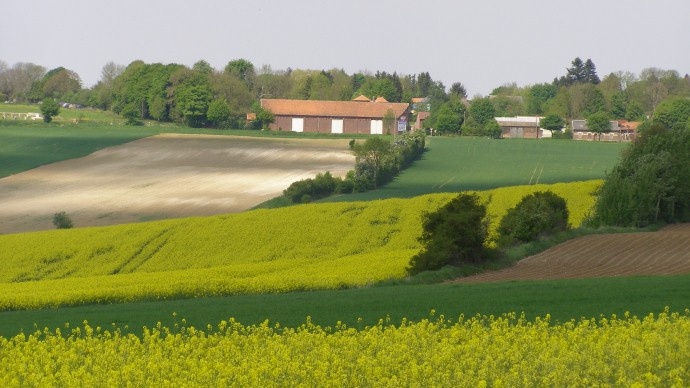 Paysage agricole